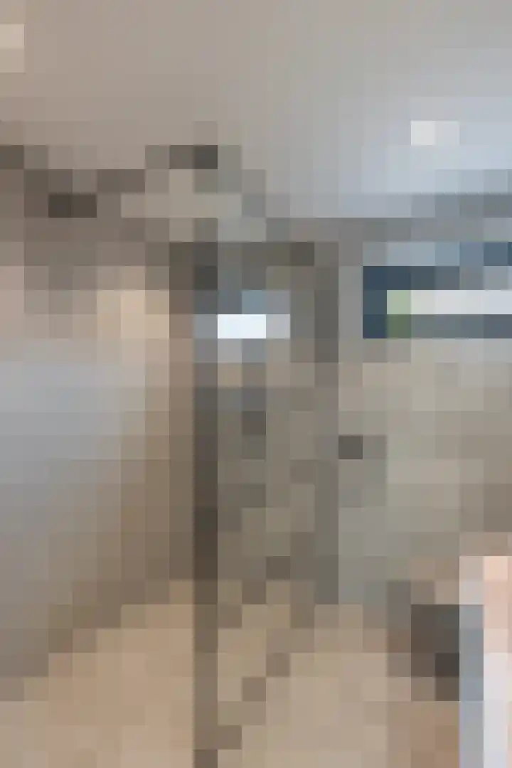 Pijnboomdreef 28 Vlaardingen thumbnail 31