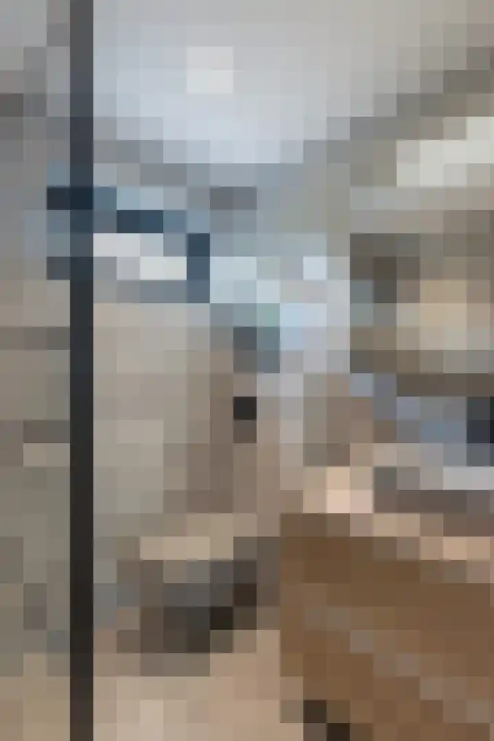Pijnboomdreef 28 Vlaardingen thumbnail 32