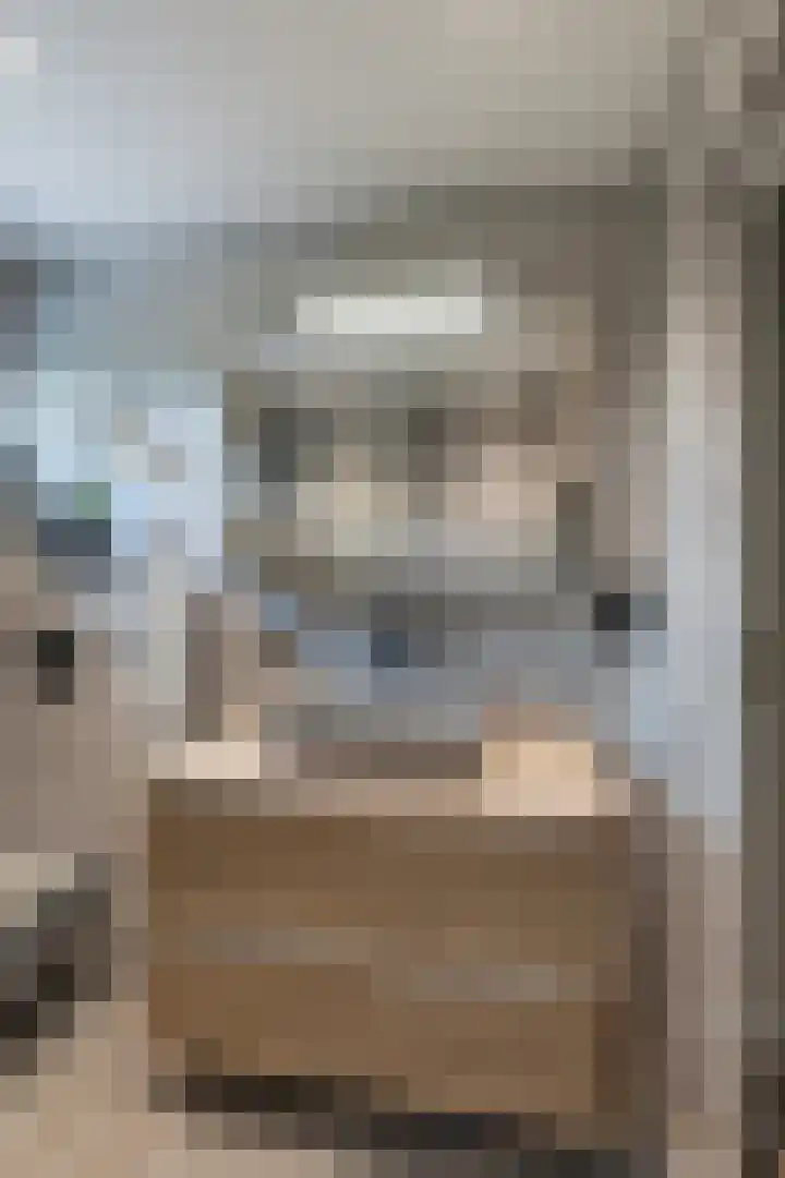 Pijnboomdreef 28 Vlaardingen thumbnail 33
