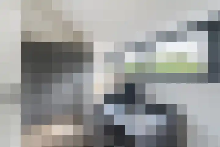 Pijnboomdreef 28 Vlaardingen thumbnail 36