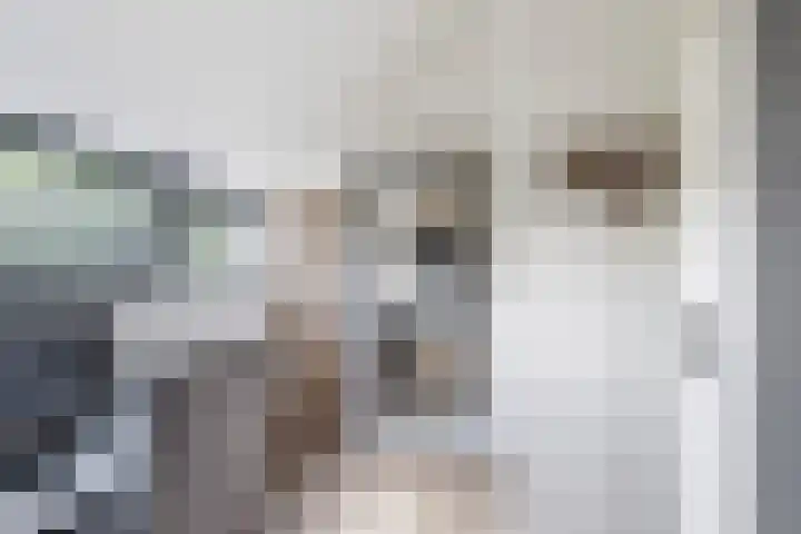 Pijnboomdreef 28 Vlaardingen thumbnail 38