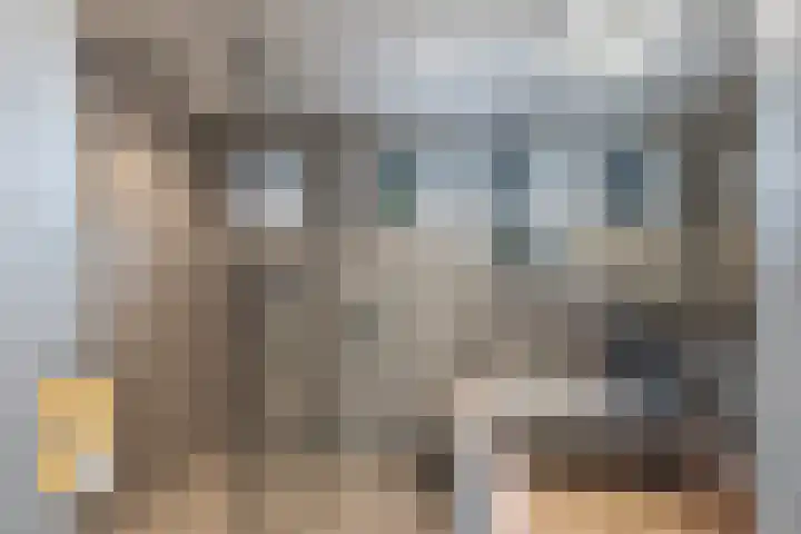 Pijnboomdreef 28 Vlaardingen thumbnail 4