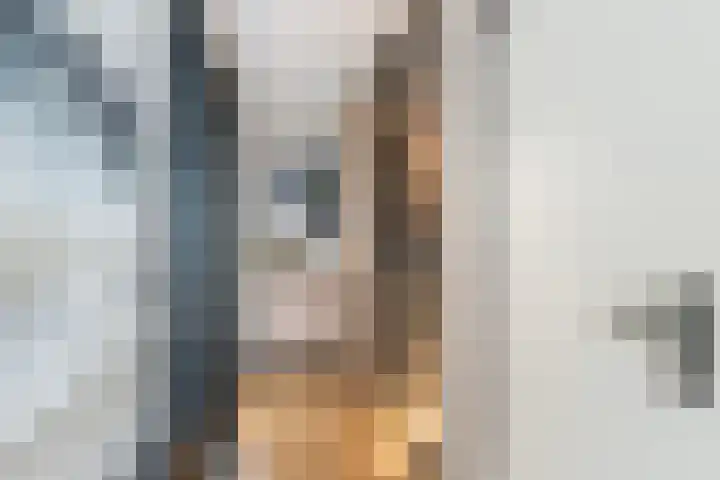 Pijnboomdreef 28 Vlaardingen thumbnail 8