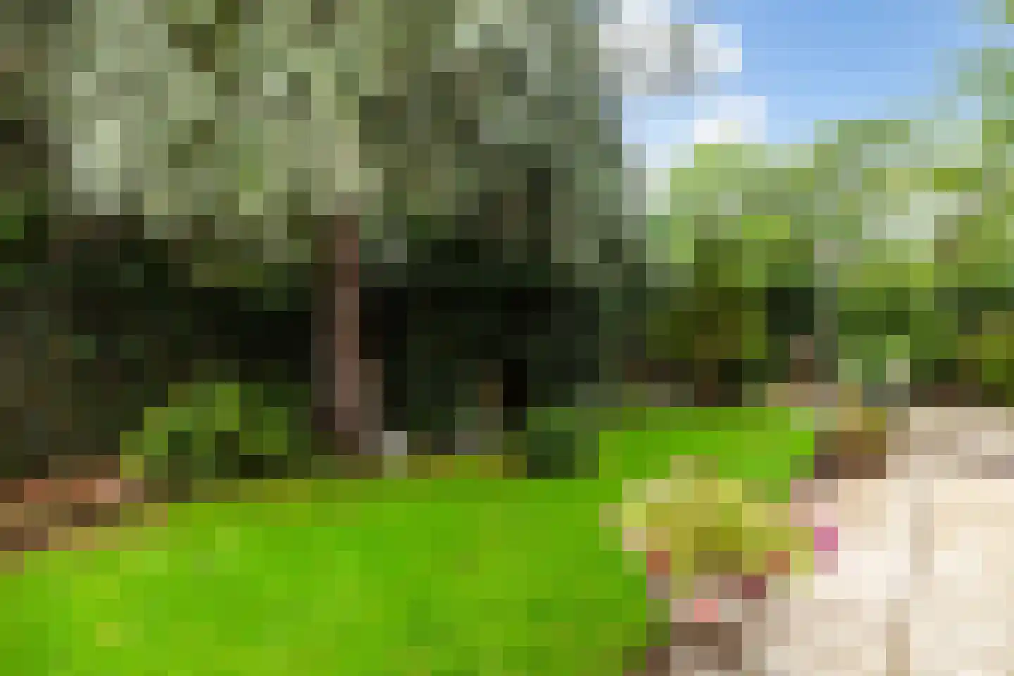 Pijnboomdreef 30 Vlaardingen thumbnail 27