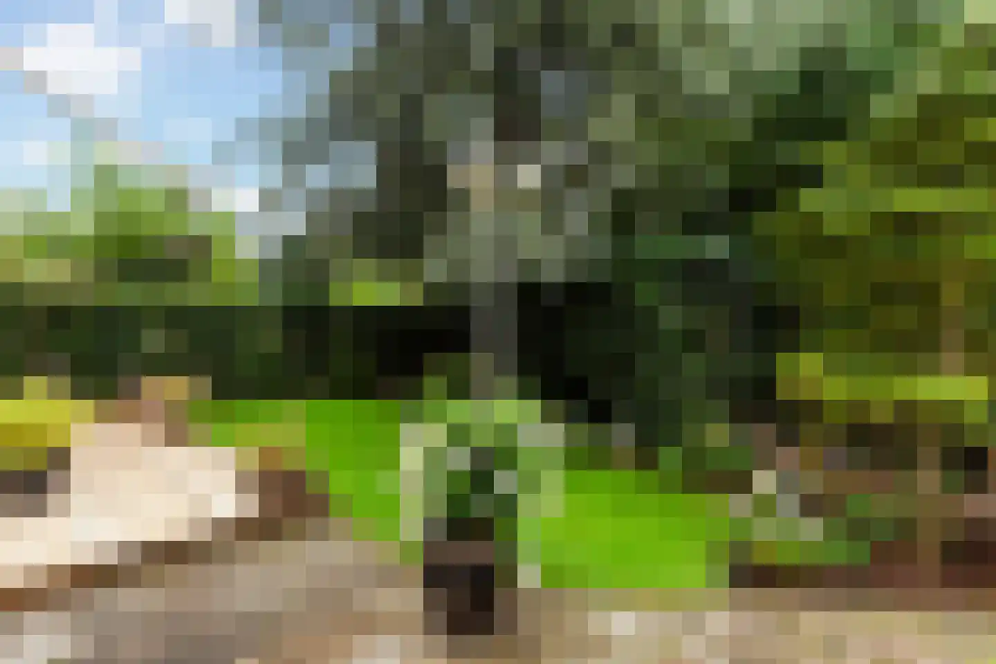Pijnboomdreef 30 Vlaardingen thumbnail 4