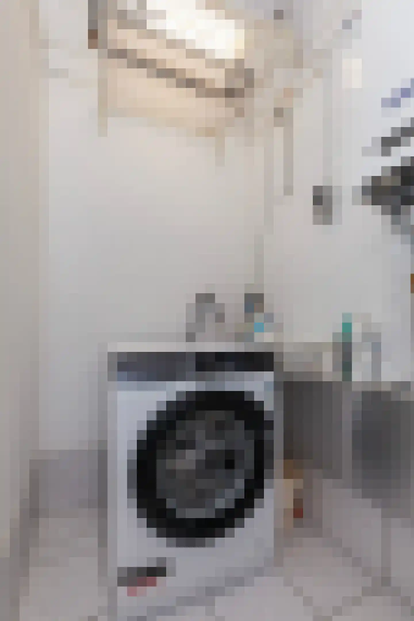 Pijnboomdreef 30 Vlaardingen thumbnail 42
