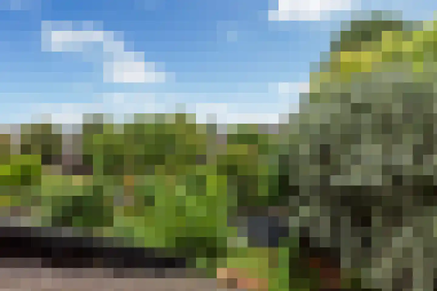 Pijnboomdreef 30 Vlaardingen thumbnail 46