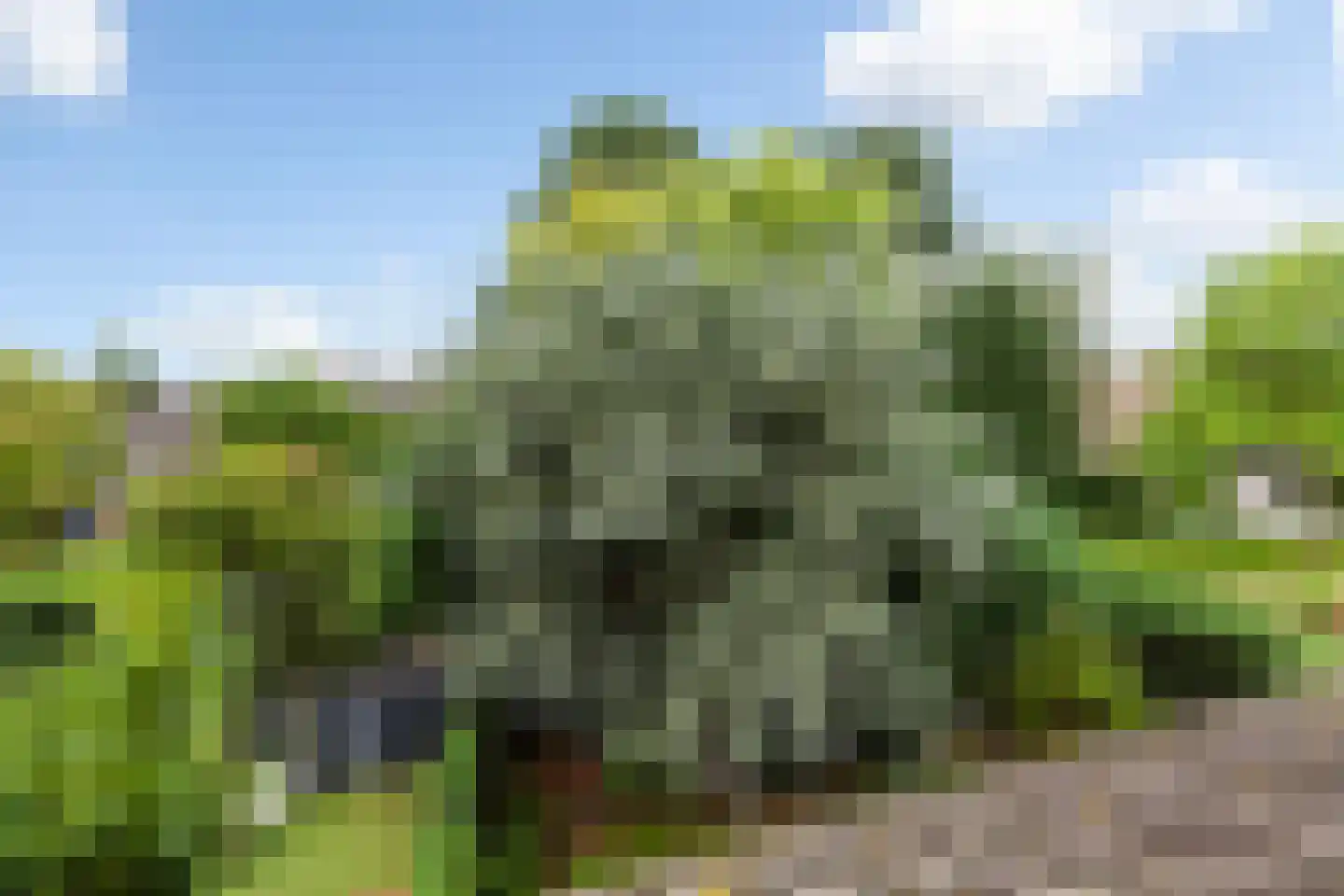 Pijnboomdreef 30 Vlaardingen thumbnail 47