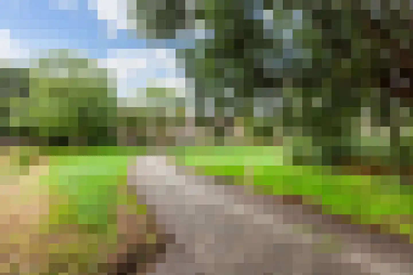Pijnboomdreef 30 Vlaardingen thumbnail 48