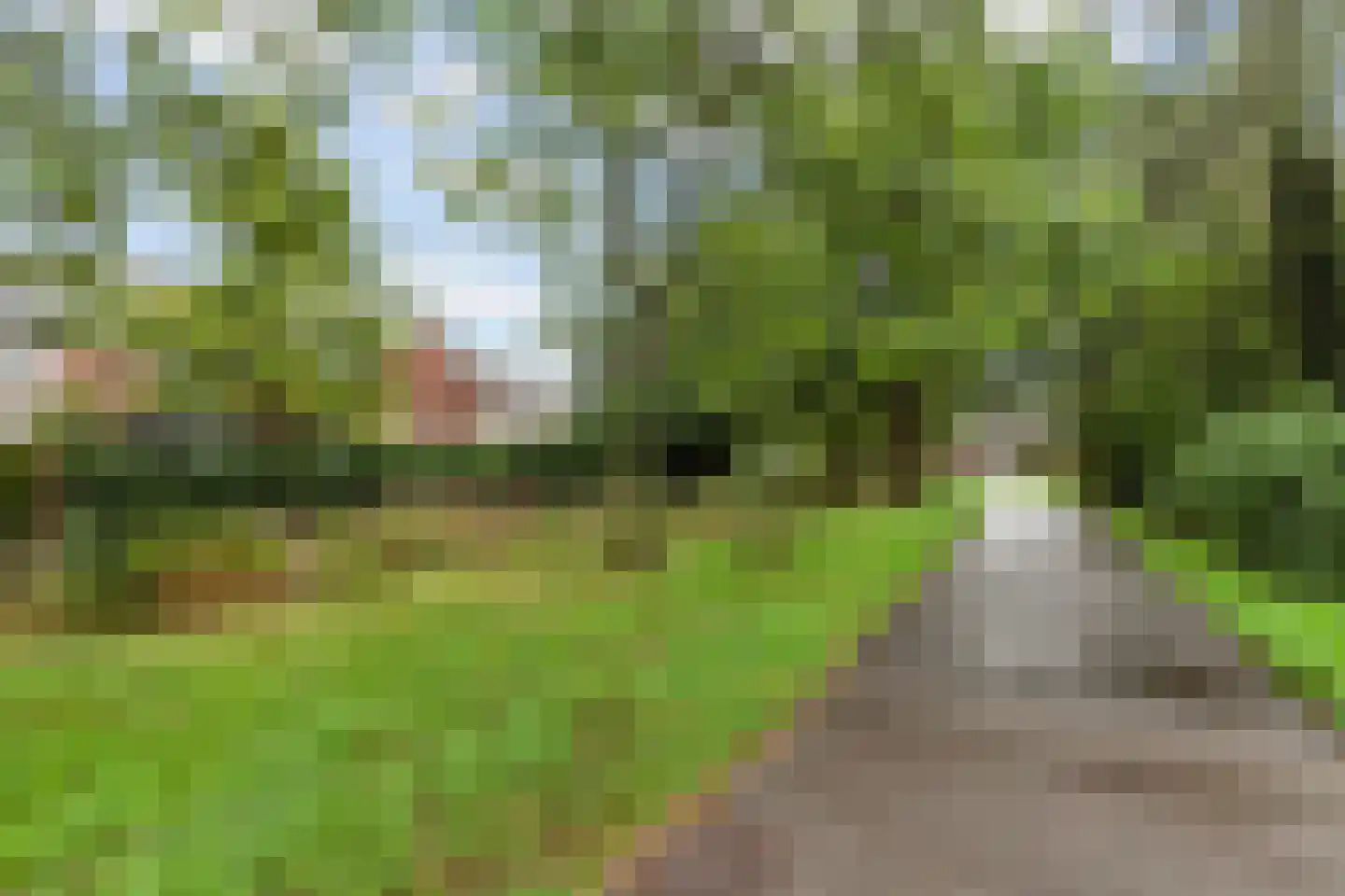 Pijnboomdreef 30 Vlaardingen thumbnail 49