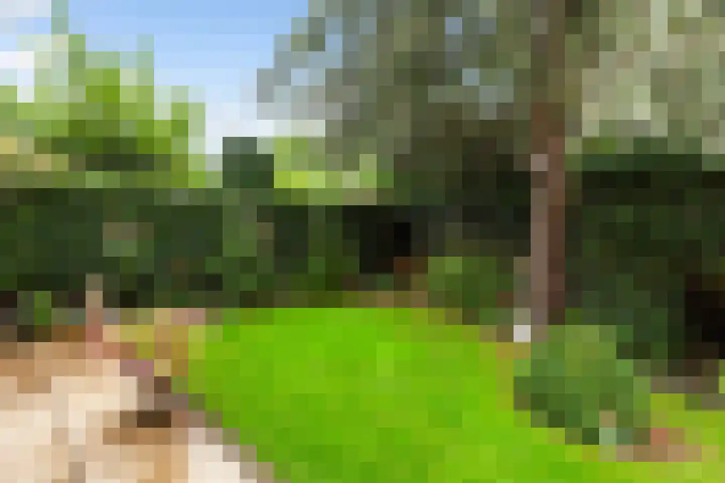 Pijnboomdreef 30 Vlaardingen thumbnail 53