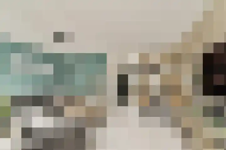 Pijnboomdreef 5 Vlaardingen thumbnail 11