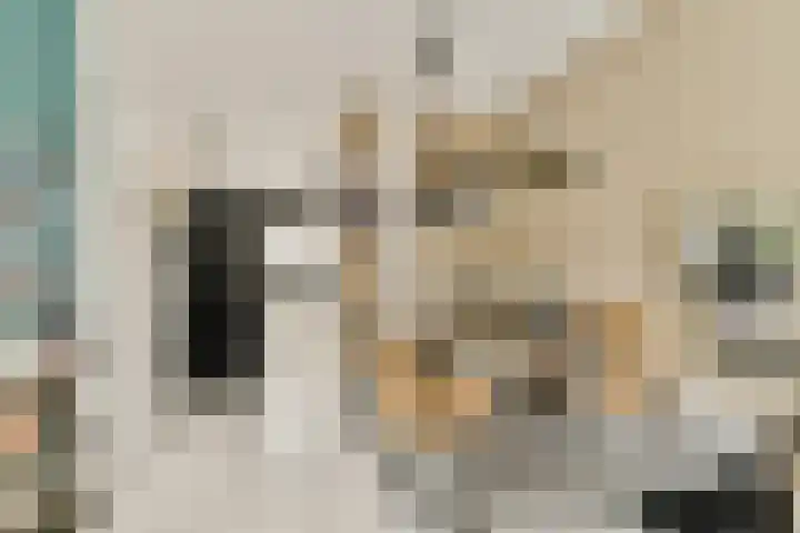 Pijnboomdreef 5 Vlaardingen thumbnail 12