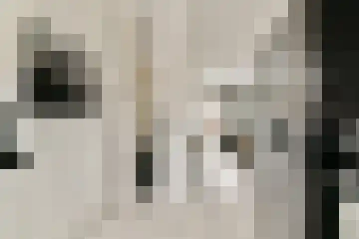 Pijnboomdreef 5 Vlaardingen thumbnail 14