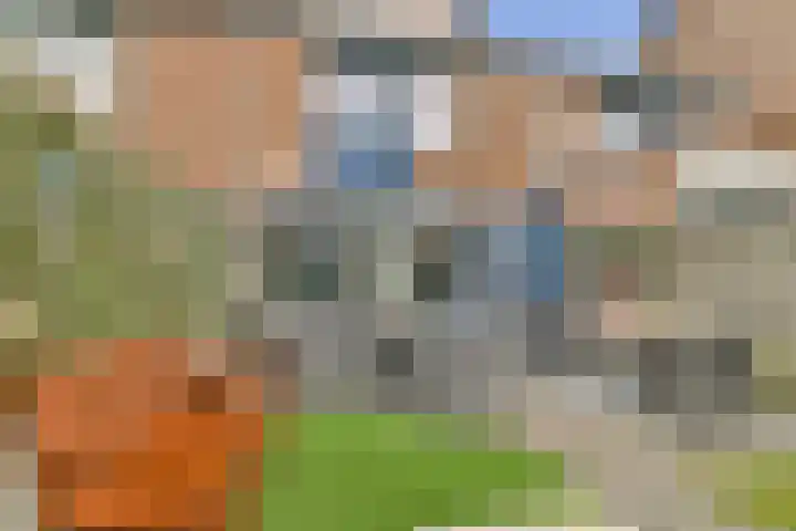 Pijnboomdreef 5 Vlaardingen thumbnail 17