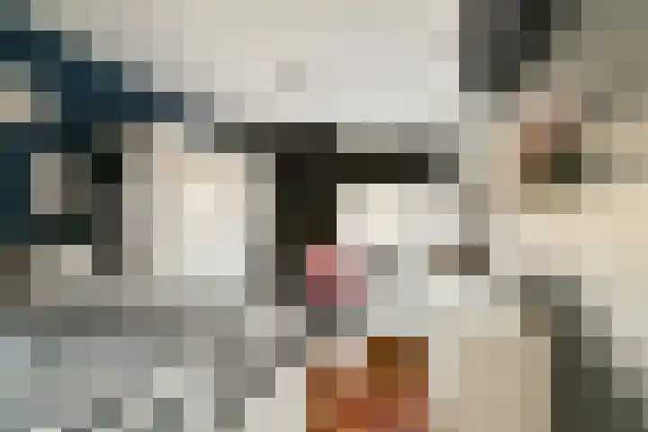 Pijnboomdreef 5 Vlaardingen thumbnail 19