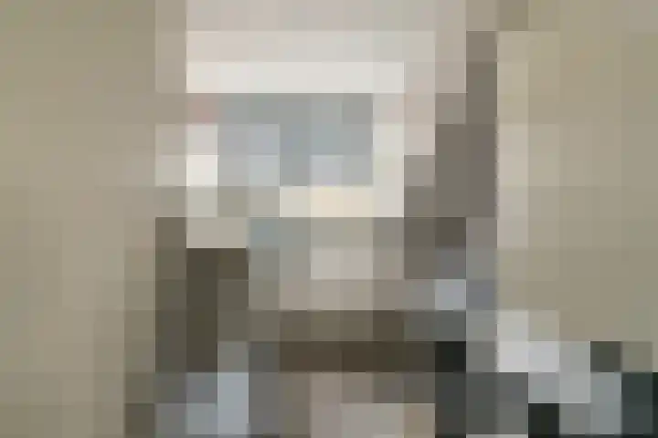 Pijnboomdreef 5 Vlaardingen thumbnail 28