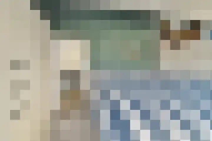 Pijnboomdreef 5 Vlaardingen thumbnail 30