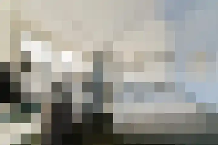 Pijnboomdreef 5 Vlaardingen thumbnail 31