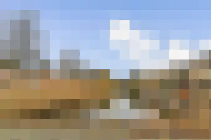 Pijnboomdreef 5 Vlaardingen thumbnail 33
