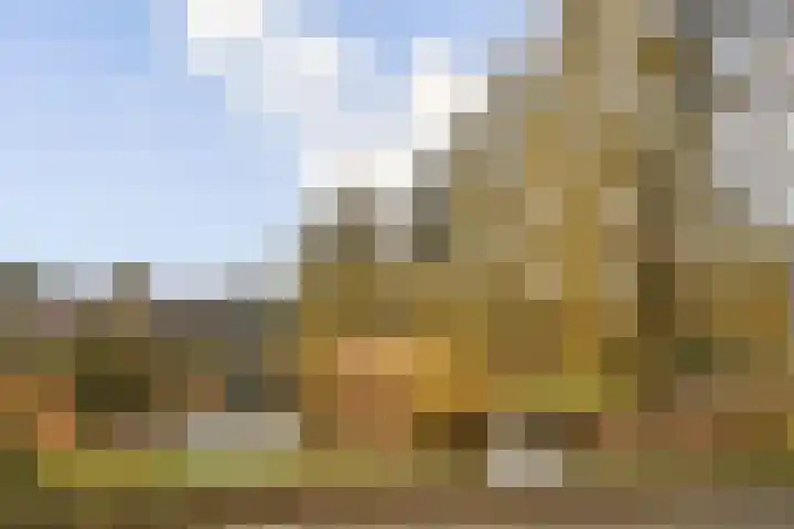 Pijnboomdreef 5 Vlaardingen thumbnail 4