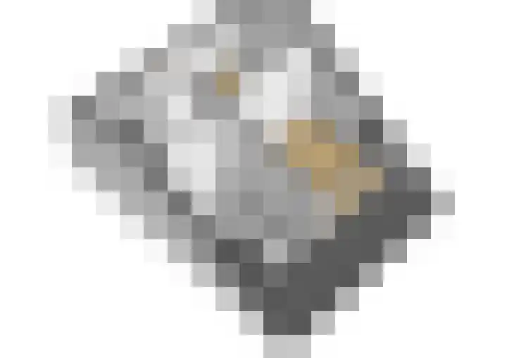 Pijnboomdreef 5 Vlaardingen thumbnail 43