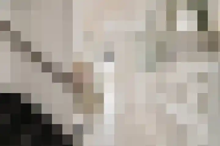 Pijnboomdreef 5 Vlaardingen thumbnail 6