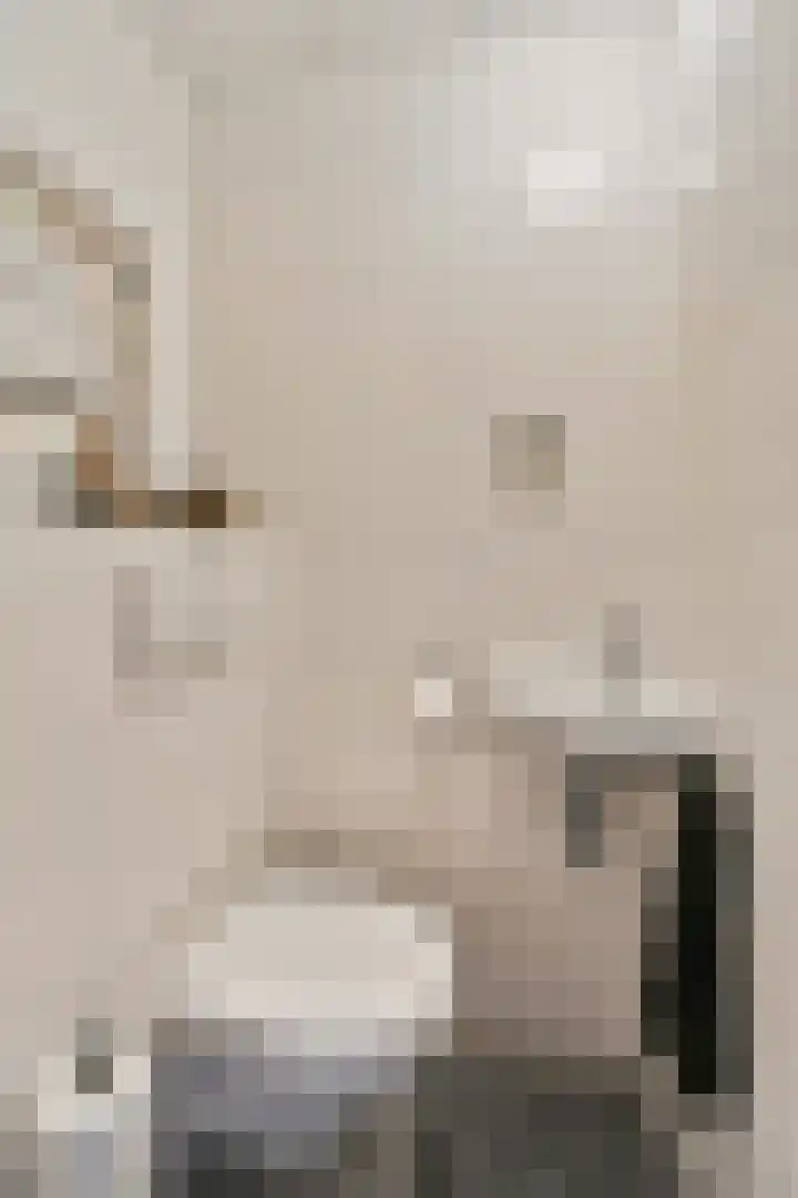 Pijnboomdreef 5 Vlaardingen thumbnail 7