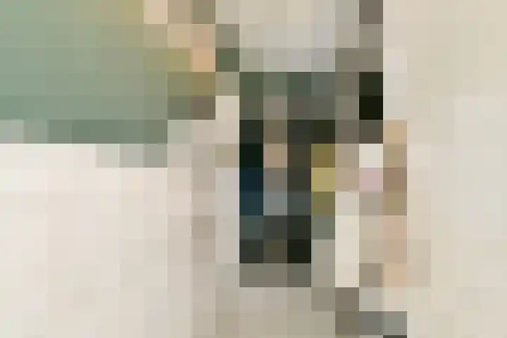 Pijnboomdreef 5 Vlaardingen thumbnail 8