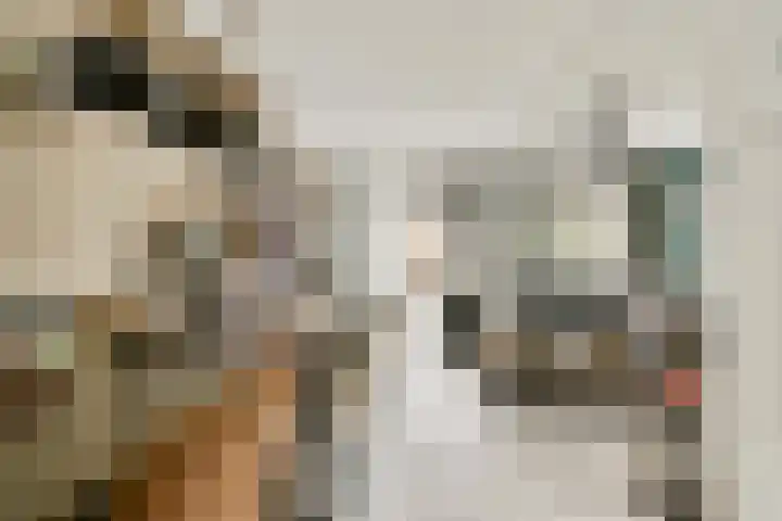 Pijnboomdreef 5 Vlaardingen thumbnail 9