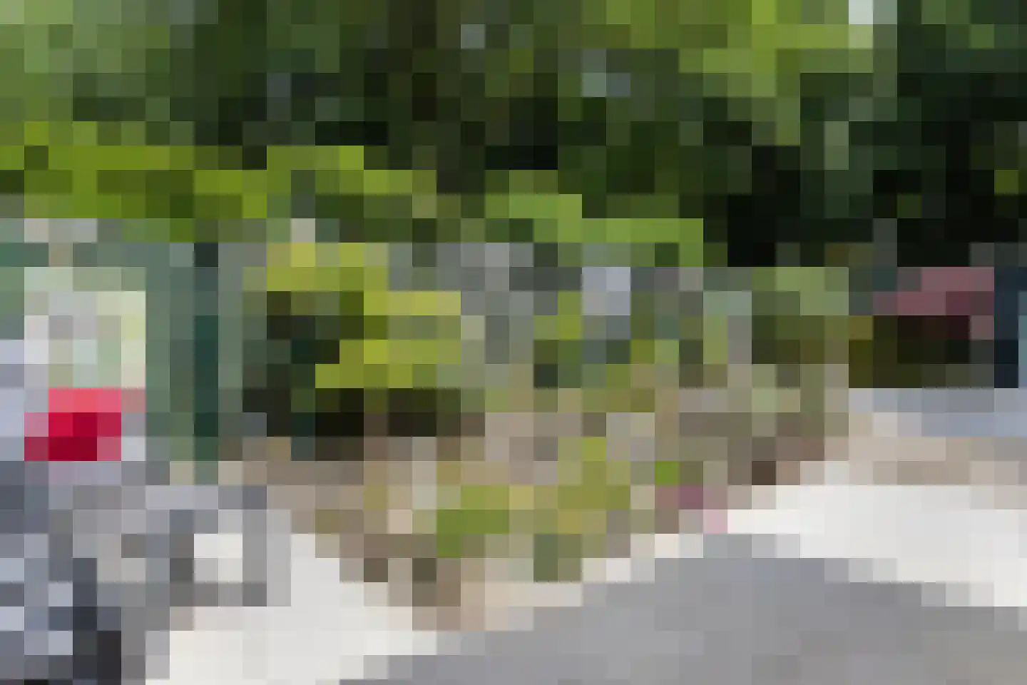 Pijnboomhof 12 Arnhem thumbnail 25
