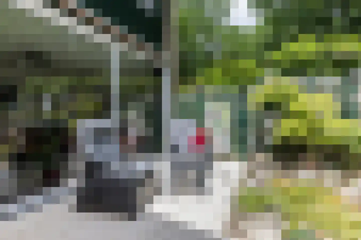 Pijnboomhof 12 Arnhem thumbnail 27