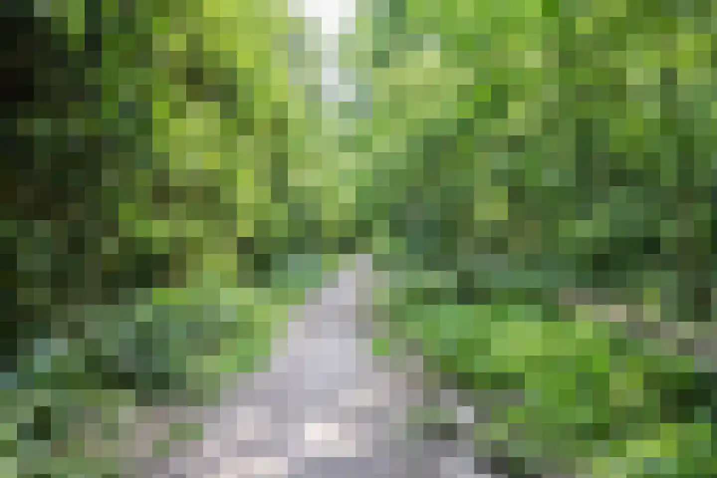 Pijnboomhof 12 Arnhem thumbnail 32