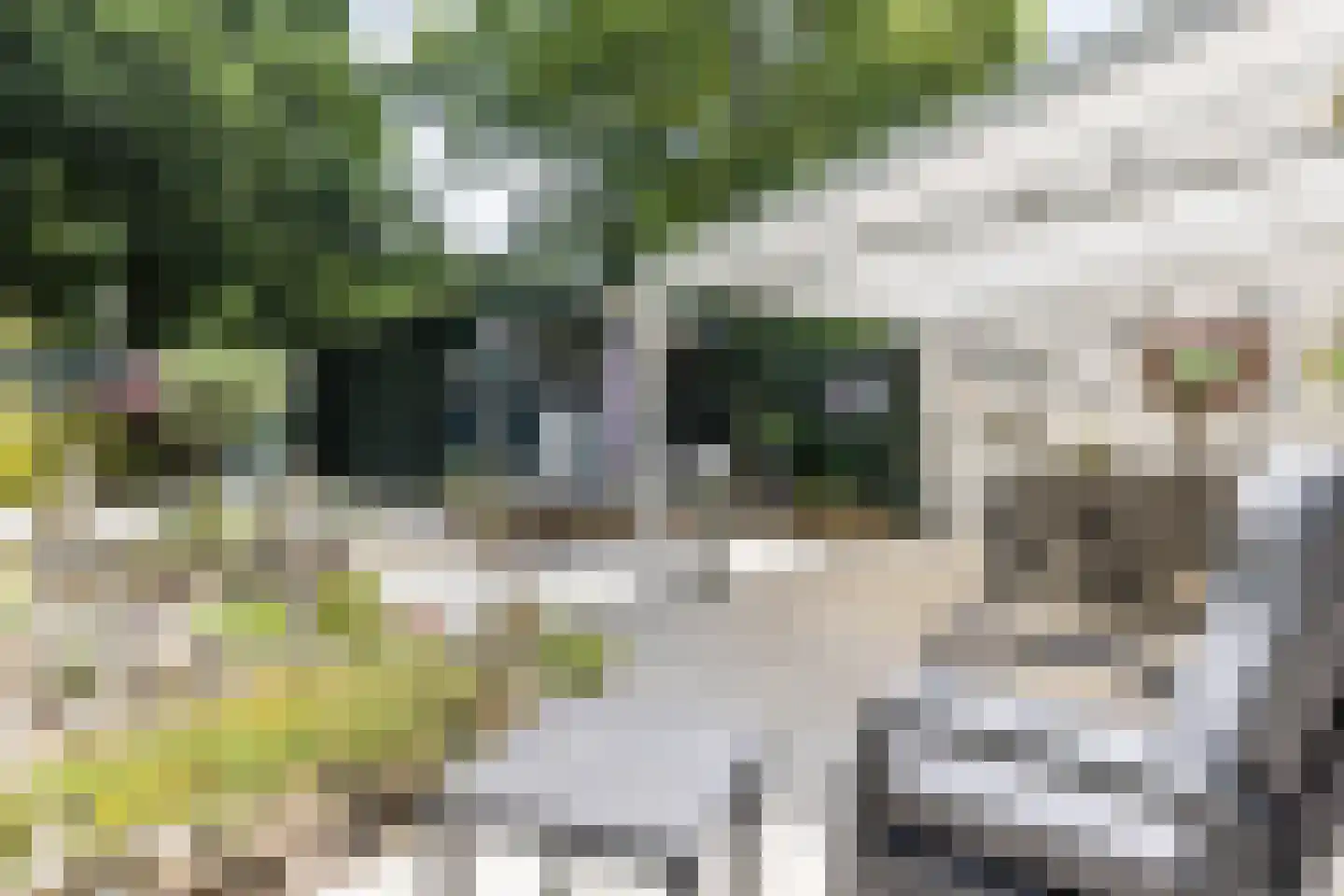 Pijnboomhof 12 Arnhem thumbnail 4