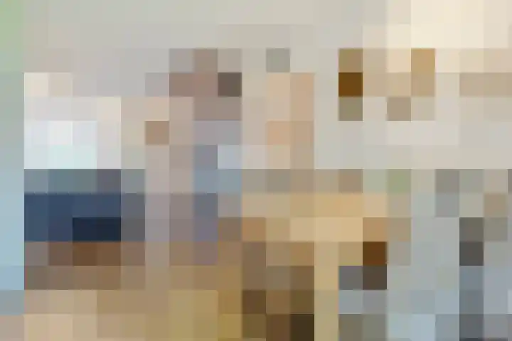 Pijnboomhof 32 Dieren thumbnail 11