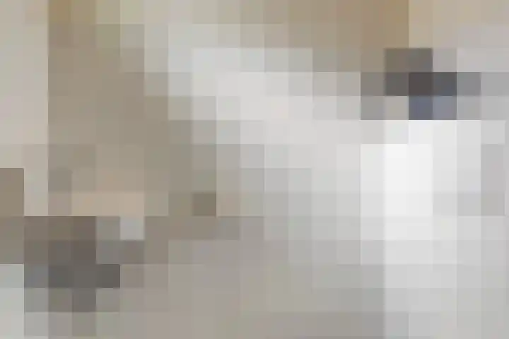 Pijnboomhof 32 Dieren thumbnail 14