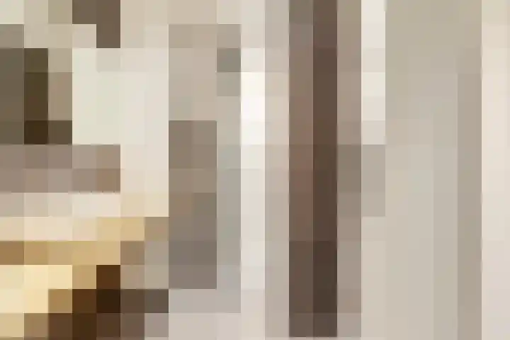 Pijnboomhof 32 Dieren thumbnail 25