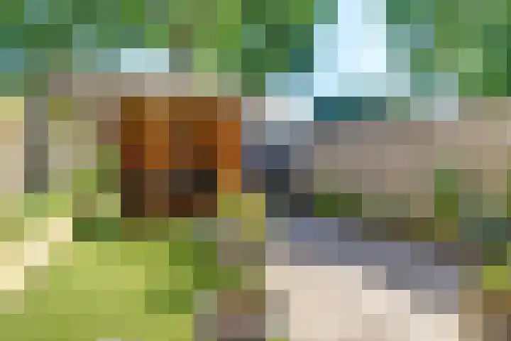 Pijnboomhof 32 Dieren thumbnail 32