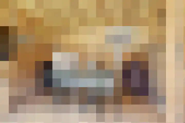 Pijnboomhof 32 Dieren thumbnail 33