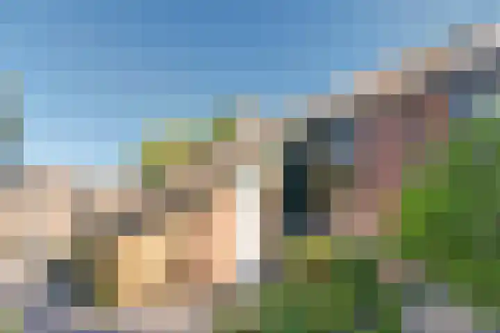 Pijnboomhof 32 Dieren thumbnail 34