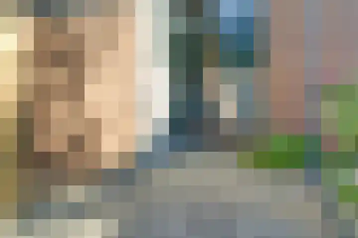 Pijnboomhof 32 Dieren thumbnail 36