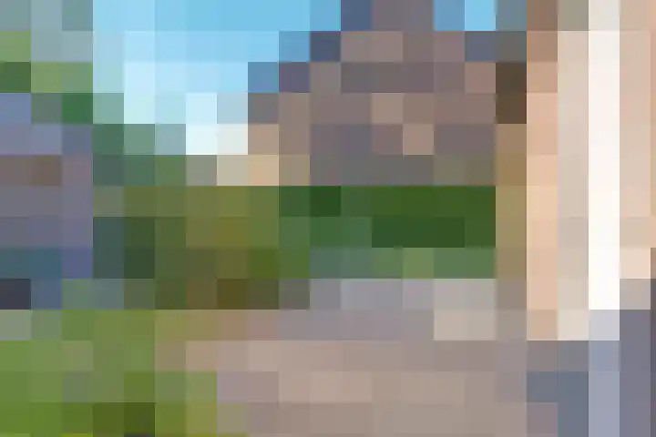 Pijnboomhof 32 Dieren thumbnail 37