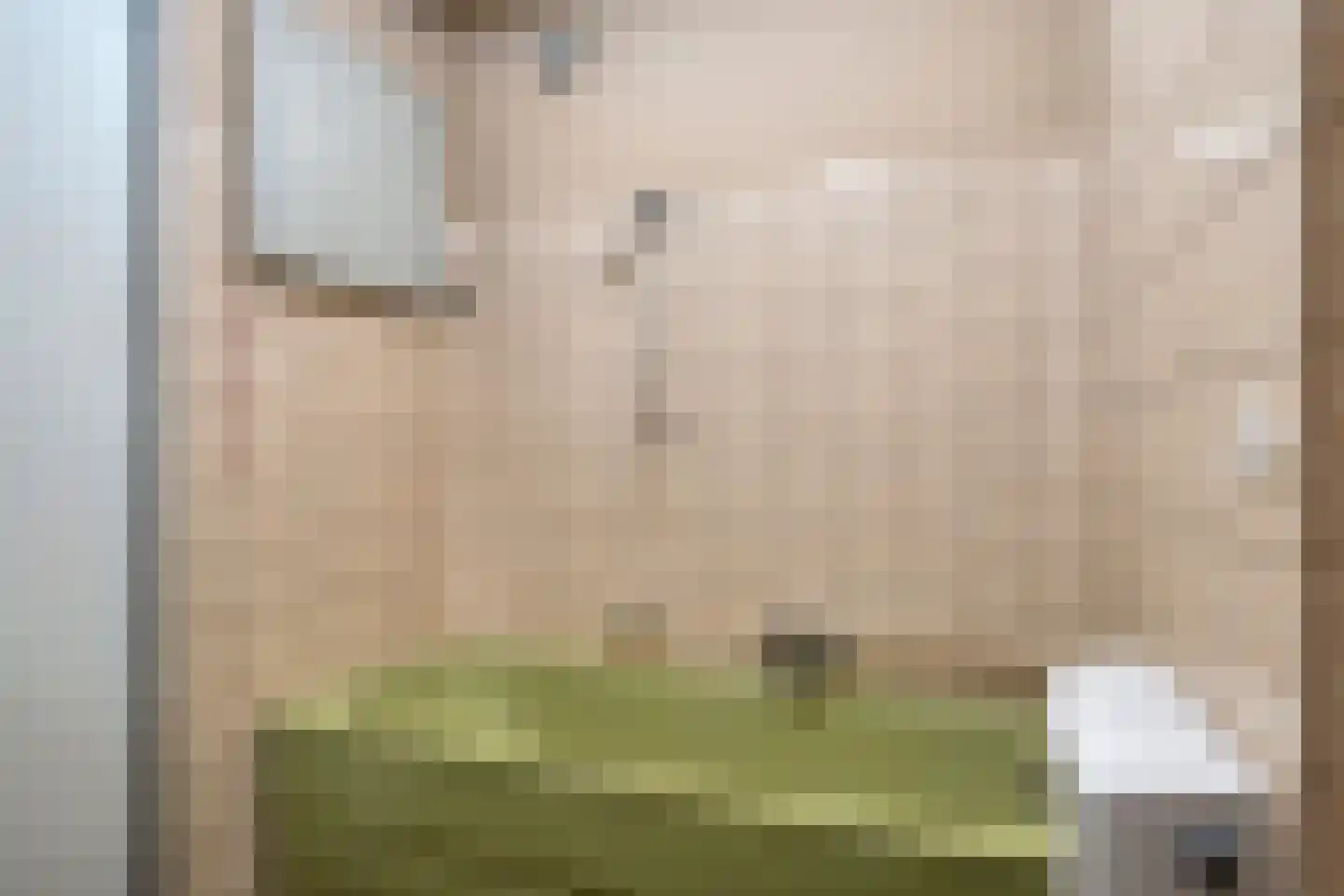 Pijnboomhof 7 Arnhem thumbnail 17