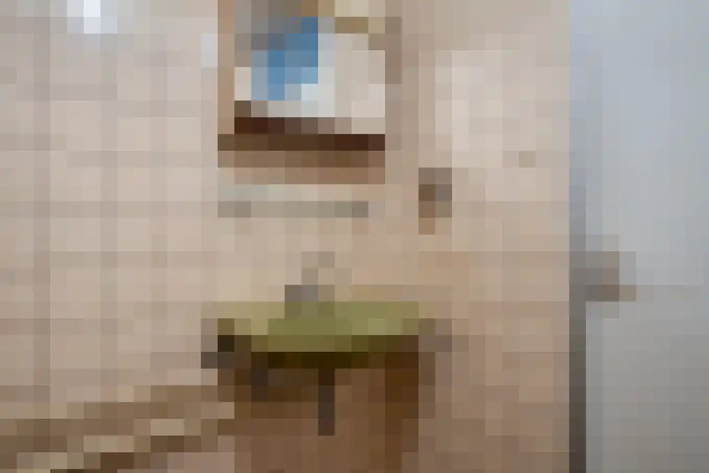 Pijnboomhof 7 Arnhem thumbnail 18