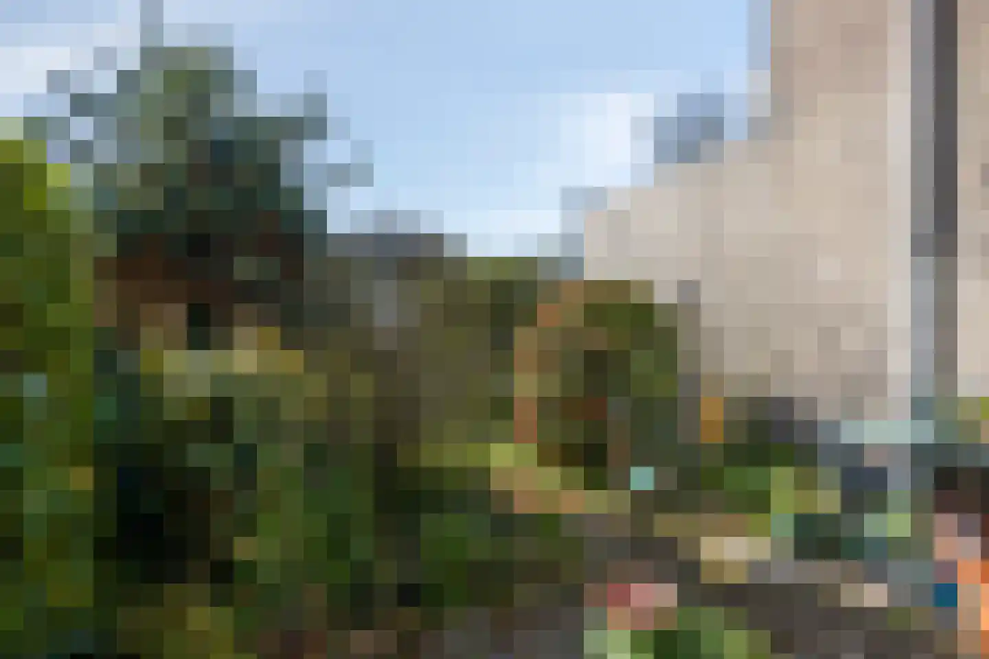 Pijnboomhof 7 Arnhem thumbnail 24
