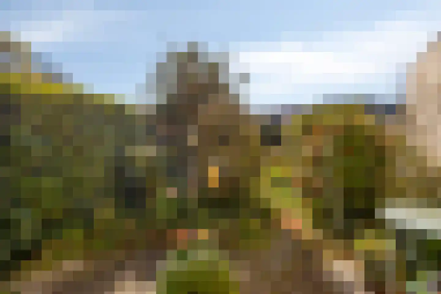 Pijnboomhof 7 Arnhem thumbnail 25