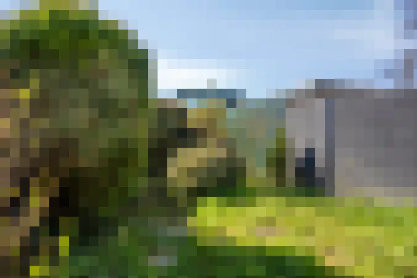 Pijnboomhof 7 Arnhem thumbnail 26