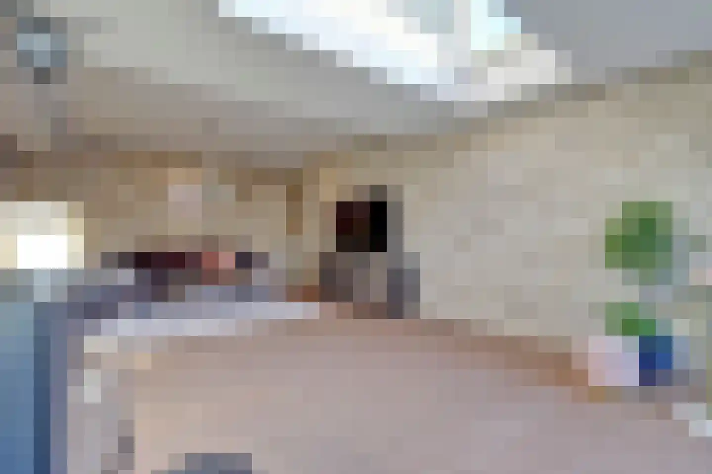 Pijnboomhof 9 Arnhem thumbnail 11