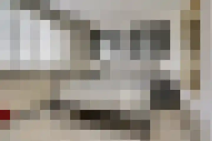 Pijnboomhof 9 Dieren thumbnail 16