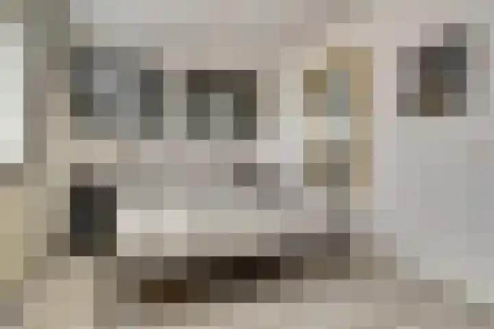 Pijnboomhof 9 Dieren thumbnail 17